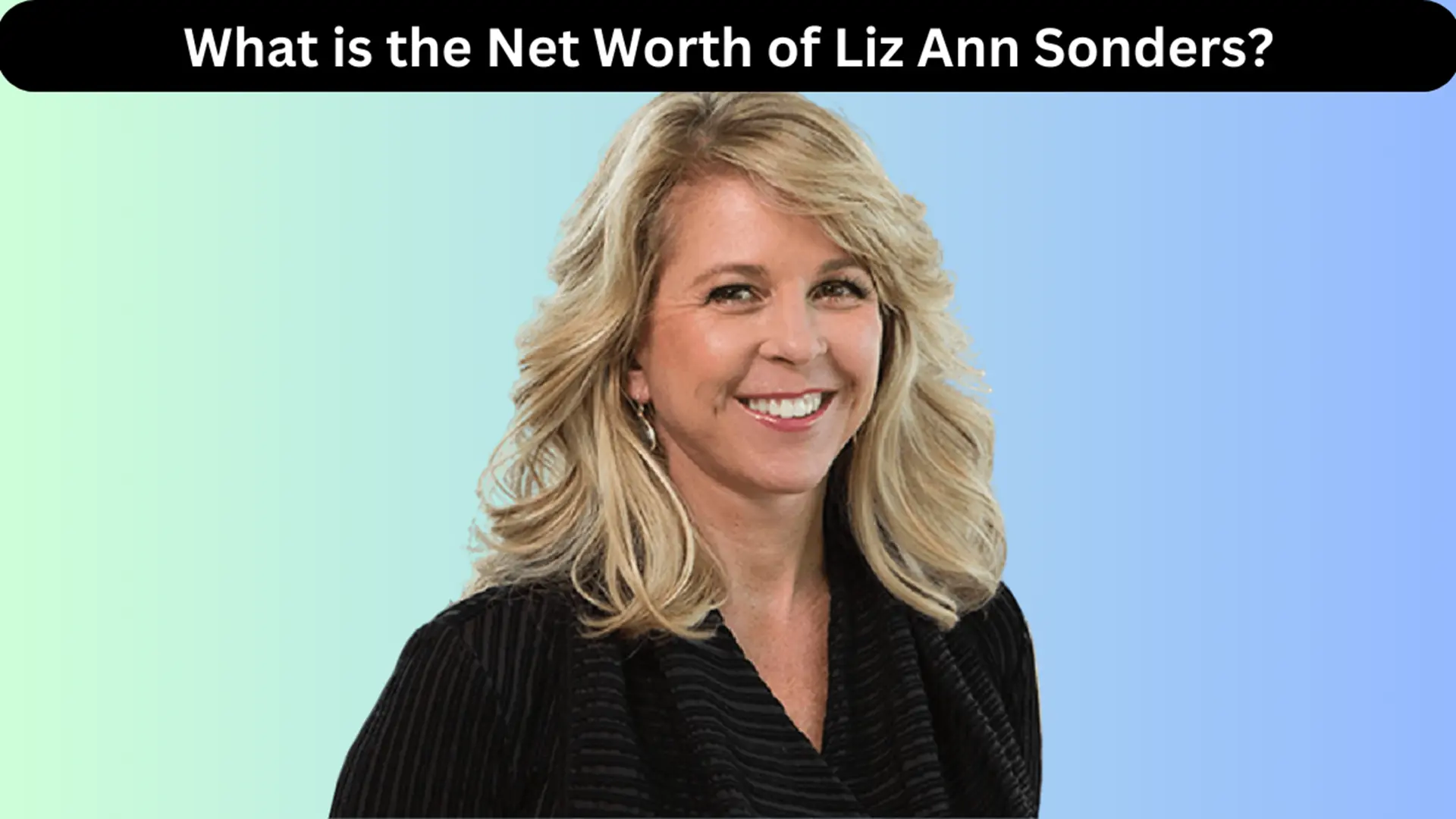 What is the Net Worth of Liz Ann Sonders